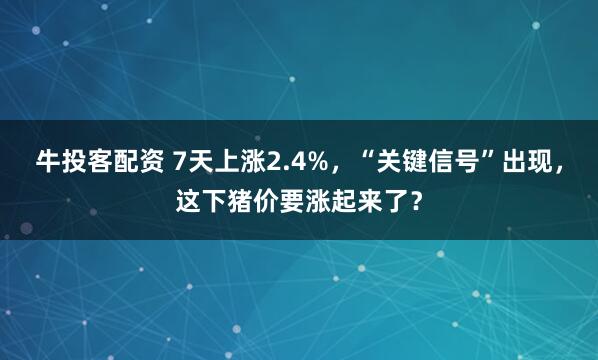 牛投客配资 7天上涨2.4%,“关键信号”出现,这下猪价要涨起来了?