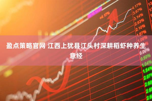 盈点策略官网 江西上犹县江头村深耕稻虾种养生意经